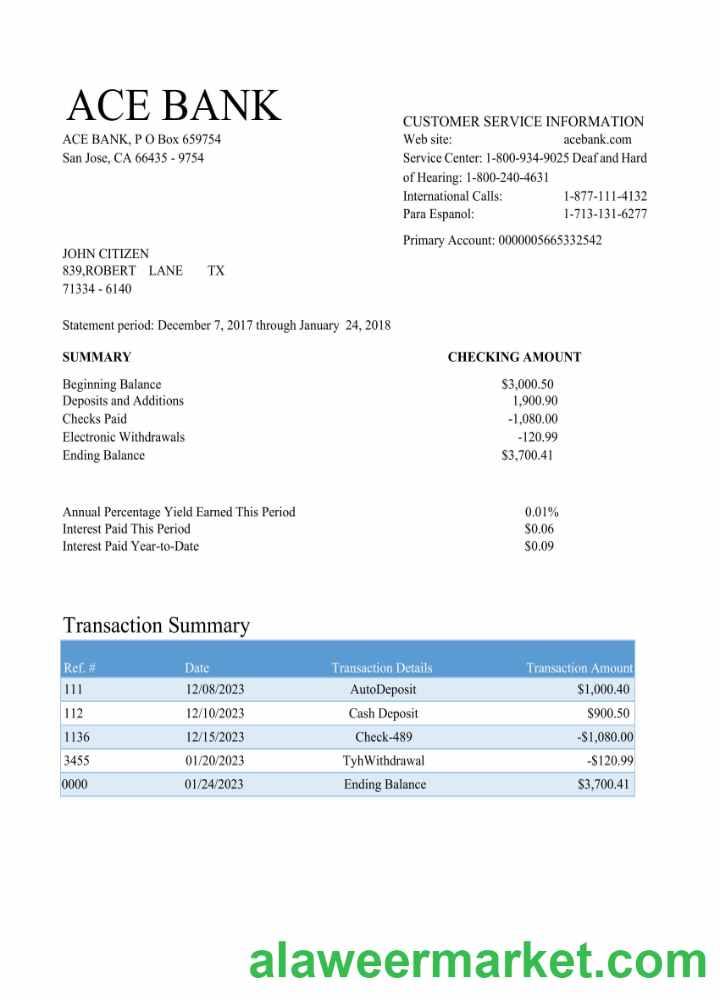 USA ACE bank statement Word and PDF template scr